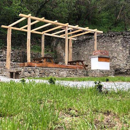 Sasca 362 Ap1 Villa Sasca Montană Dış mekan fotoğraf